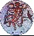 Join the Friends of Fishbourne Roman Palace!